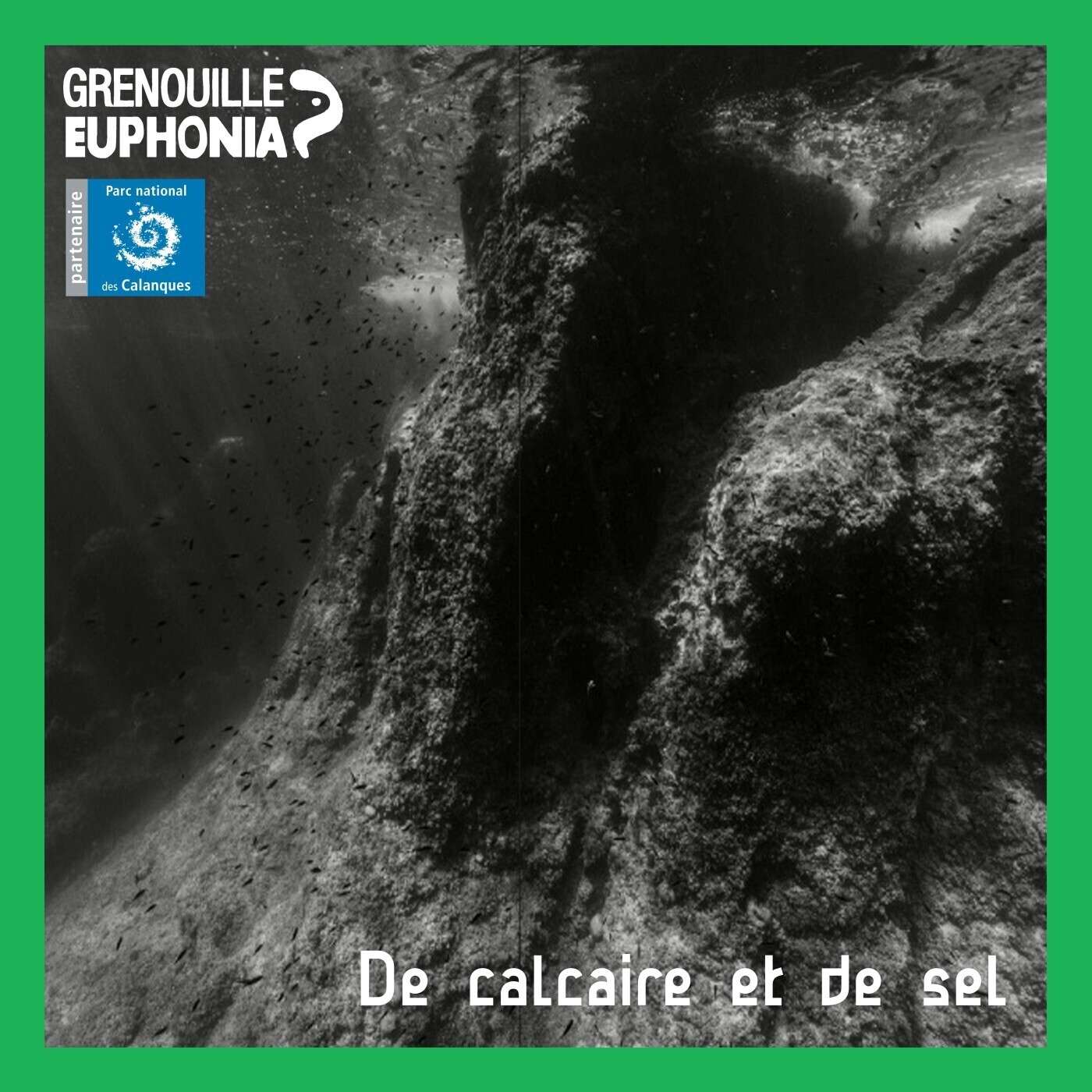 De calcaire et de sel | Biophonie sous-marine, écouter les profondeurs