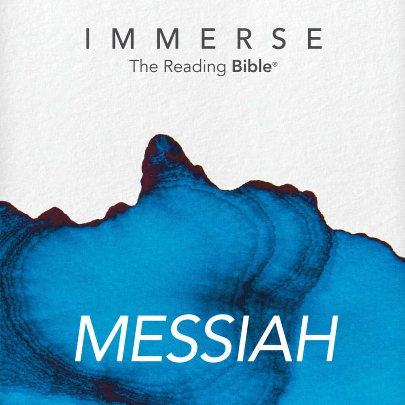 Immerse Messiah Day 37 Year 2 Daily Bible Reading