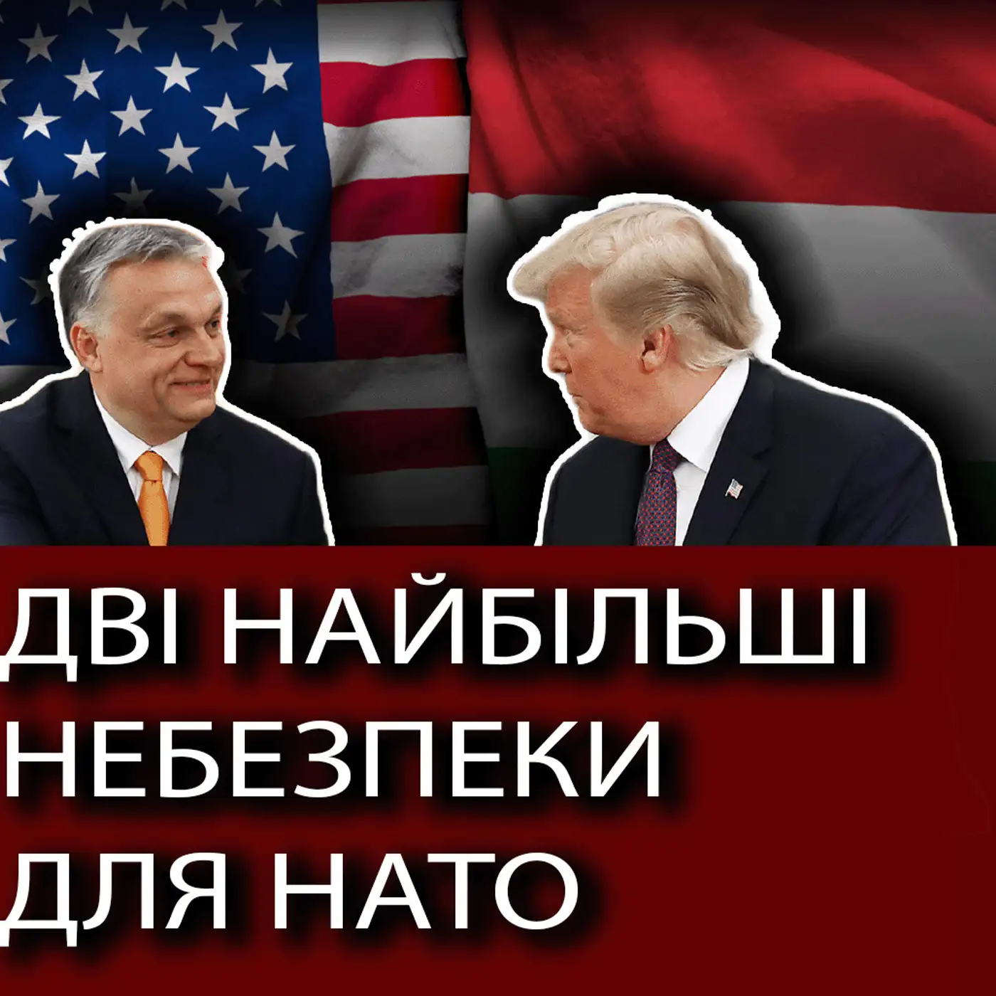 НЕСВІТАЙЛОВ: ???? Угорщина  - це всього лиш боязка версія РФ