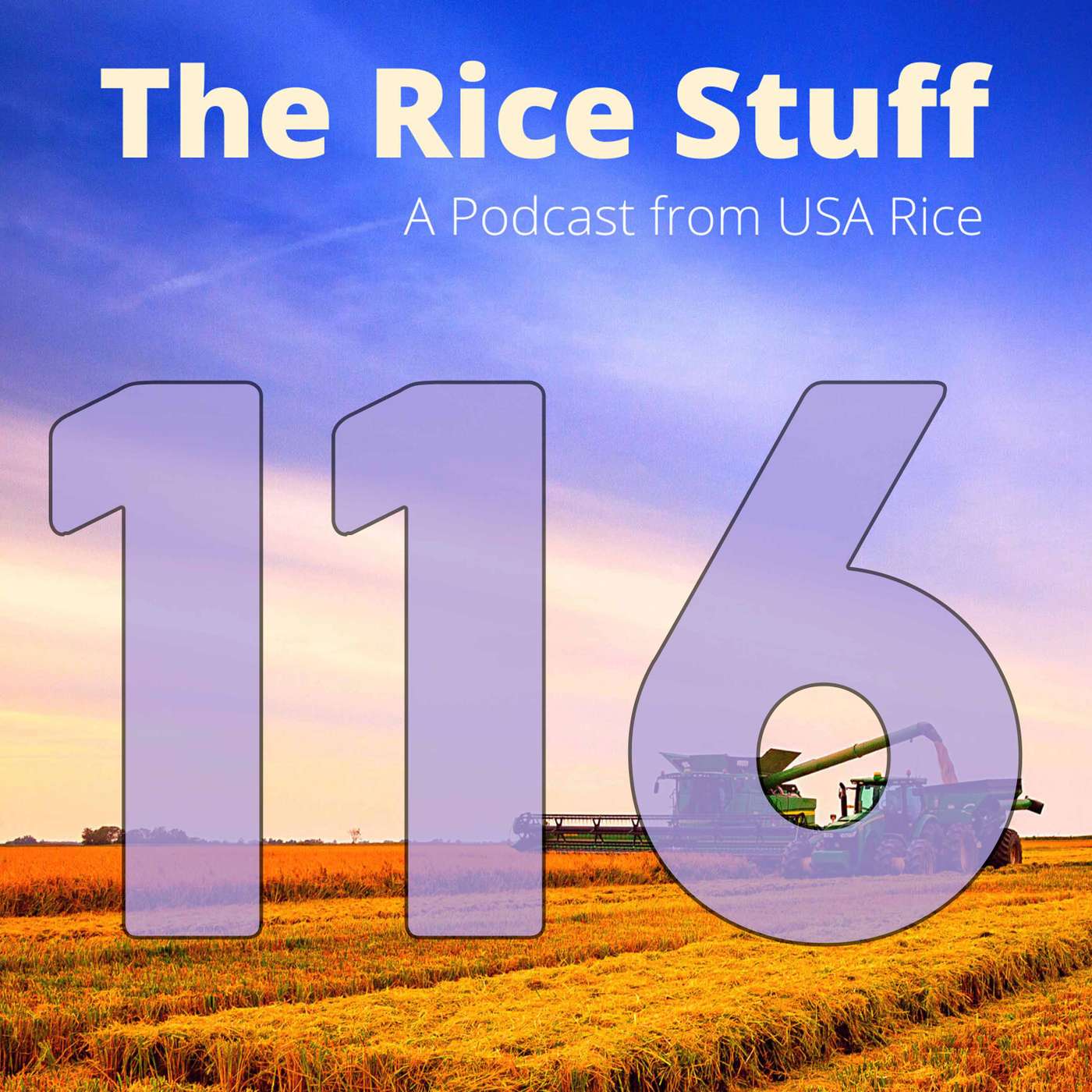 The Rice Stuff