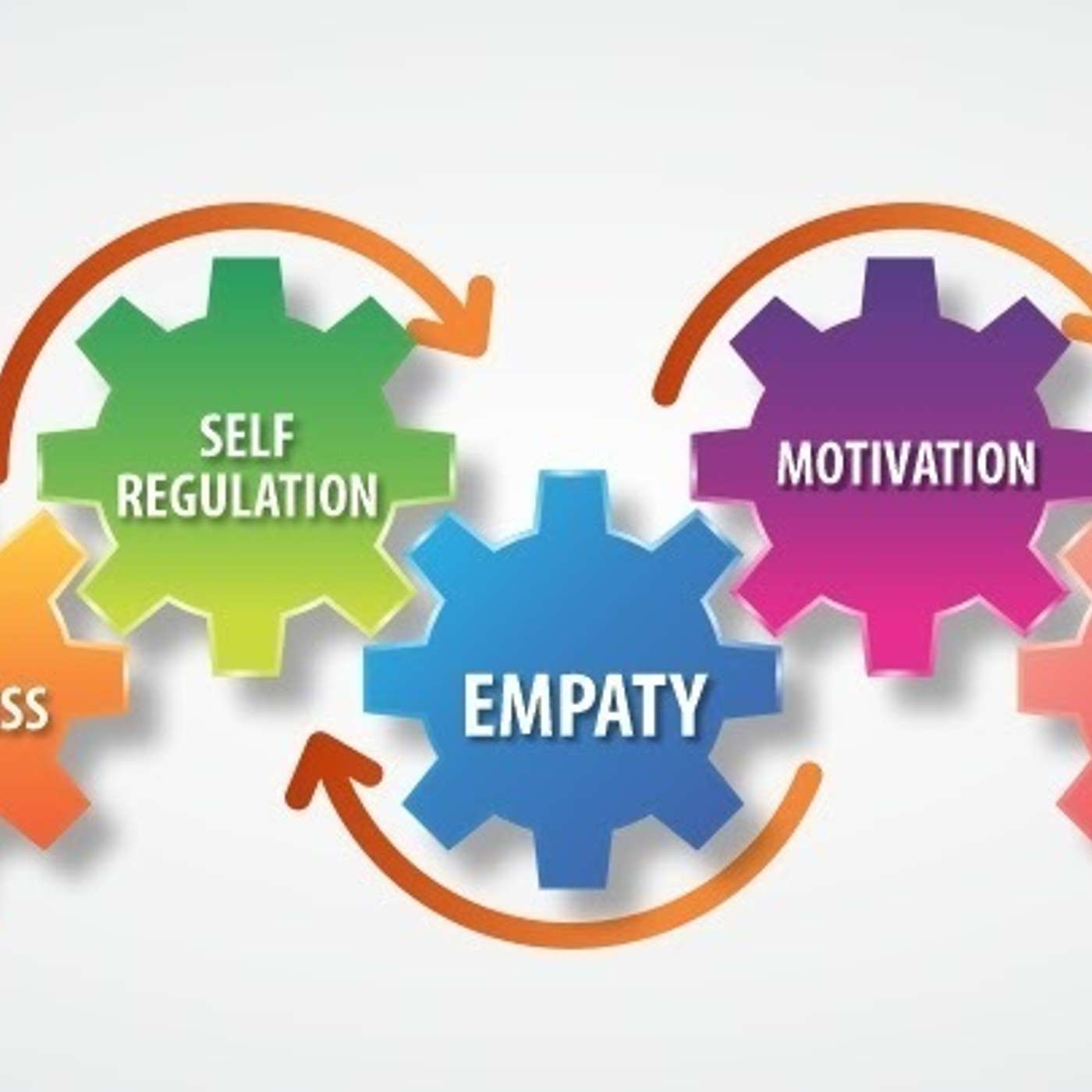 Mac gives some facts on the *Emotional Intelligence*.