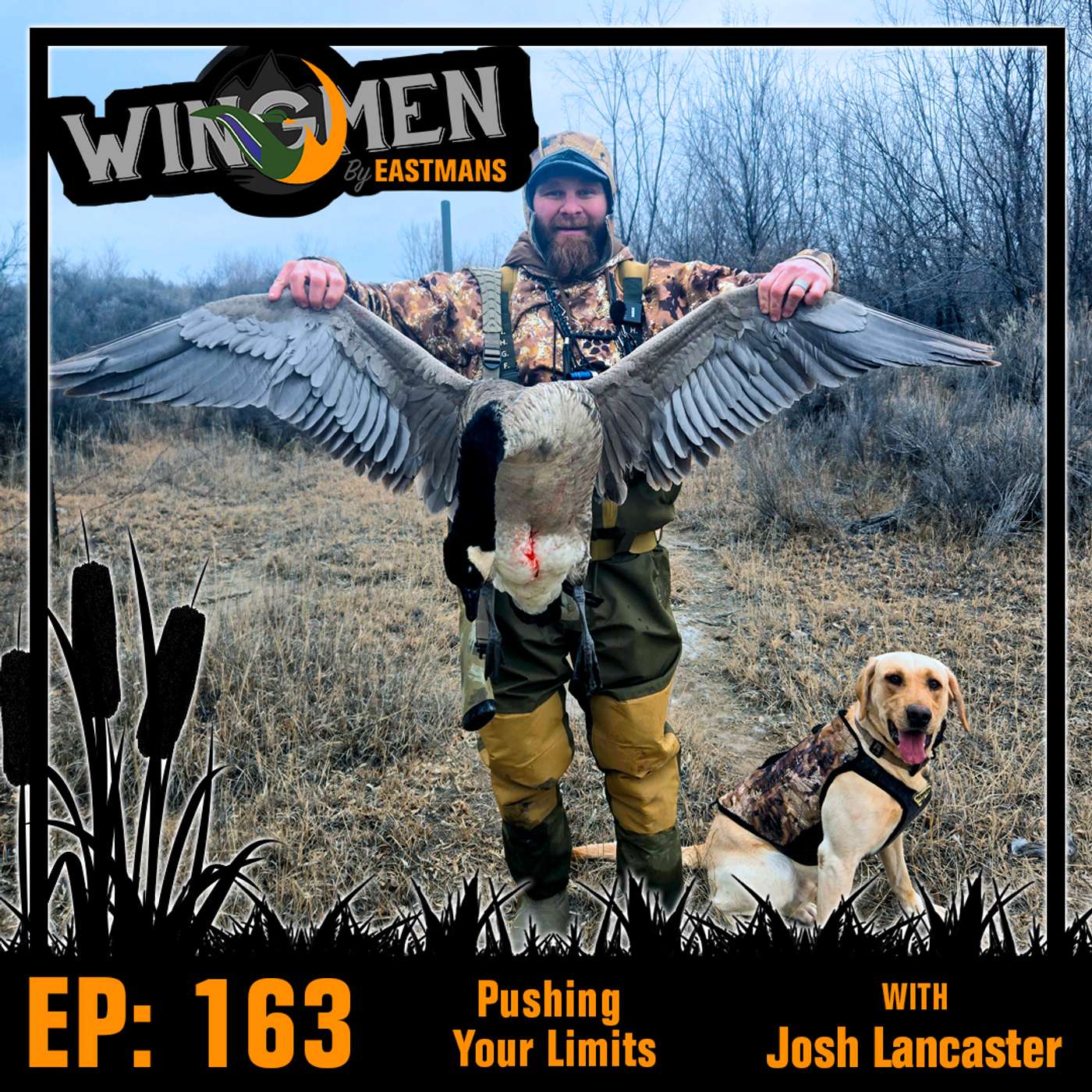 Wingmen EP 163: Pushing Your Limits w/Josh Lancaster episode artwork