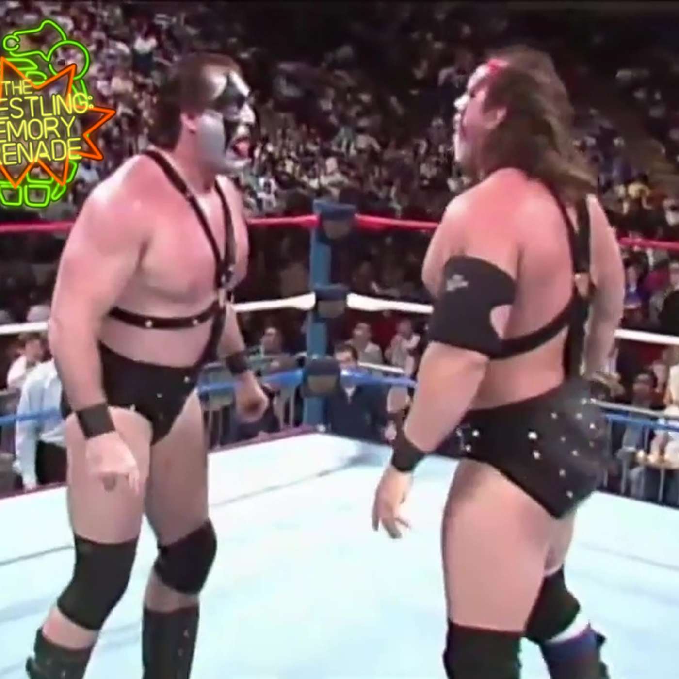WMG 175: THE DEFINITIVE WWF ROYAL RUMBLE 1989 REVIEW (PART 2)