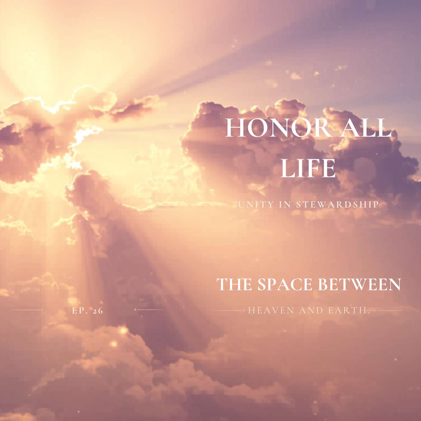 Honor All Life | The Space Between | Episode 26 | Guided Meditation episode artwork