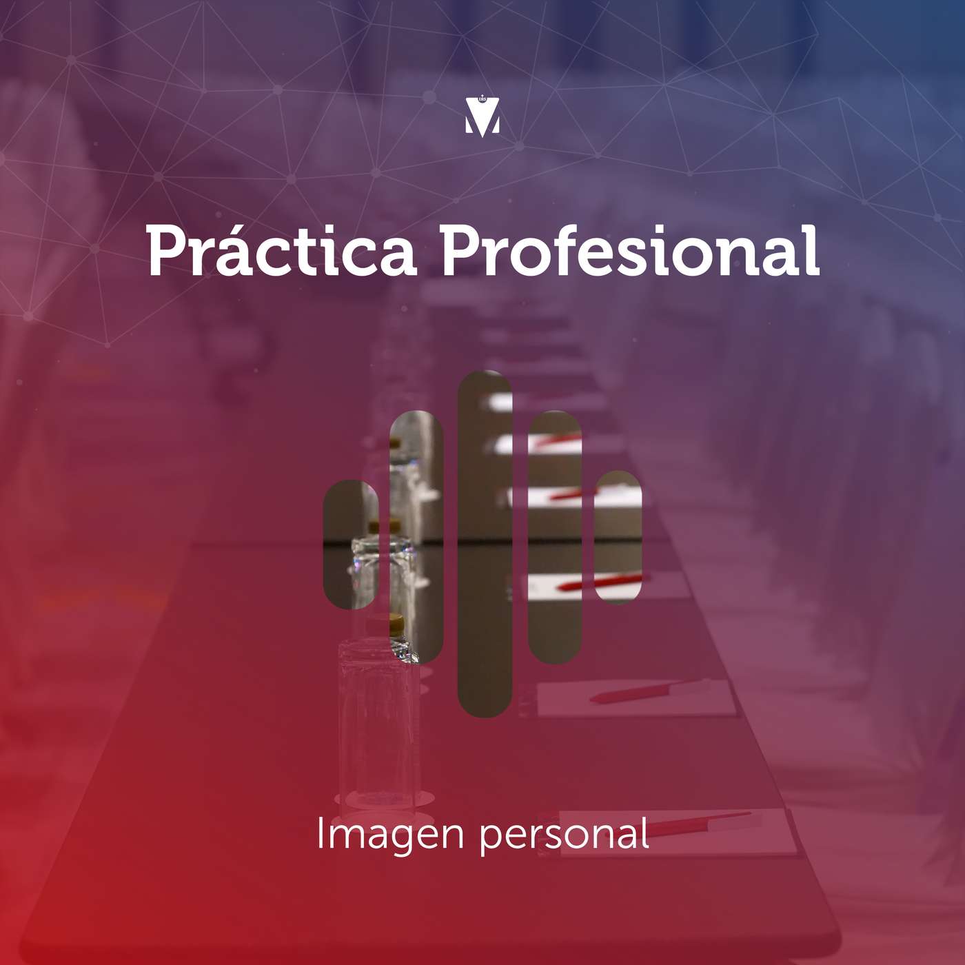 4 - PRÁCTICA PROFESIONAL: Imagen personal episode artwork