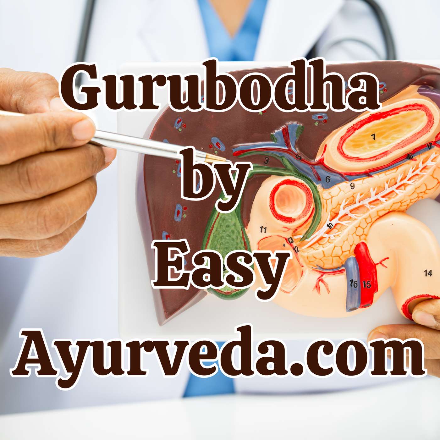 Gurubodha 192: Organ Surgery| Virechana in Choleliathiasis| Camphor sources and purification