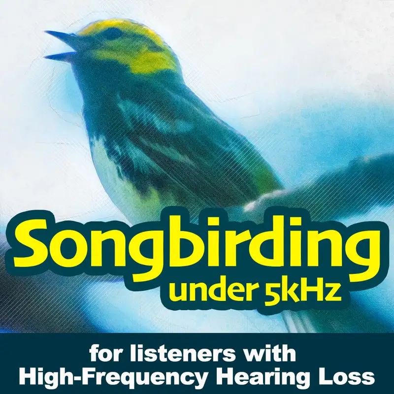 Birdsong Identification Quiz (Season 1)