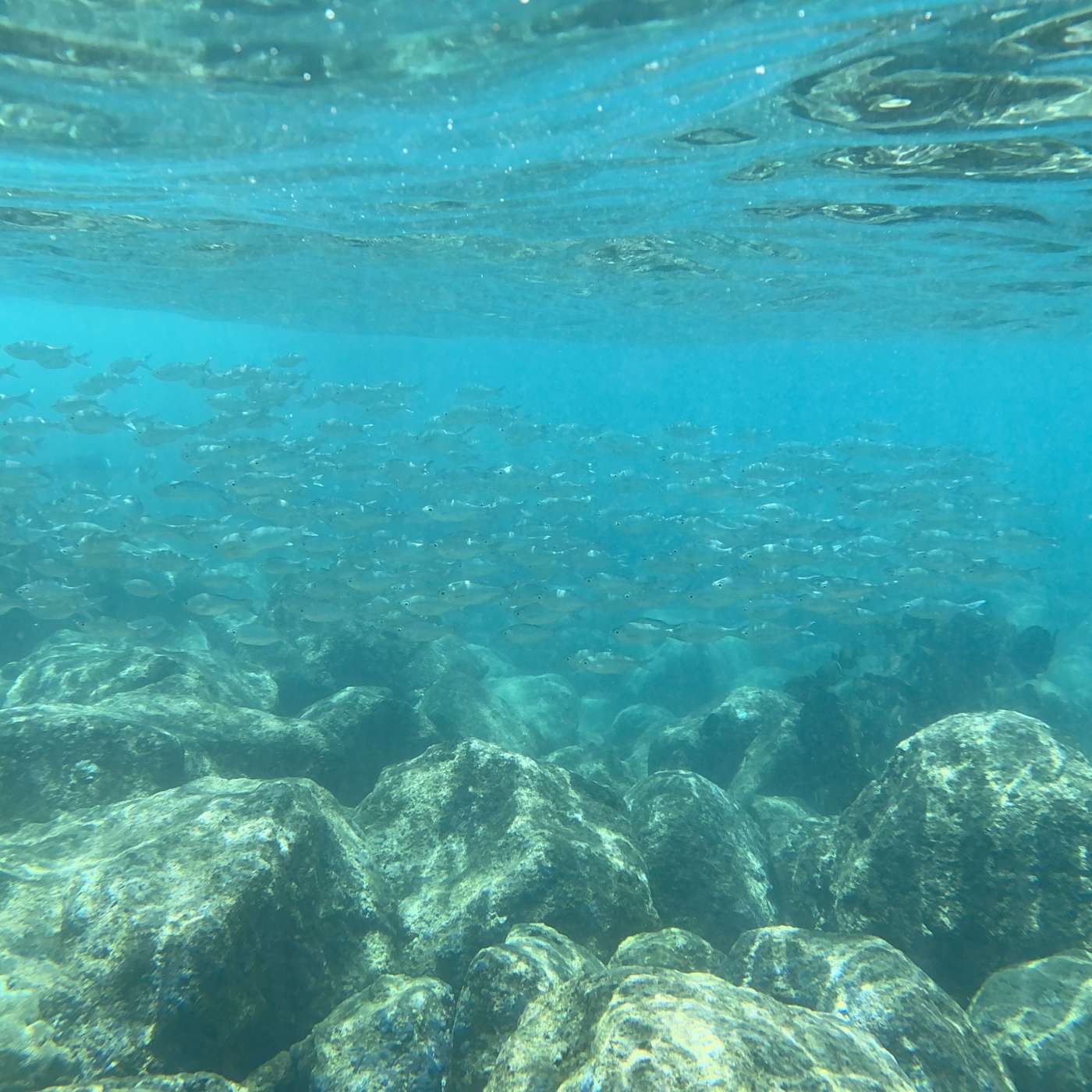 Neuro-Linguistic Programming (NLP) # 3