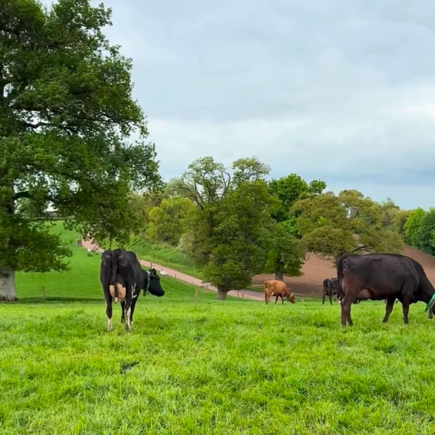 Next Gen 2 and Kilworth Farm Update
