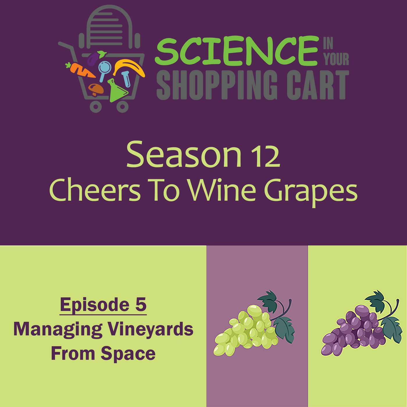 Season 12: Cheers To Wine Grapes | Episode 5: Managing Vineyards From Space