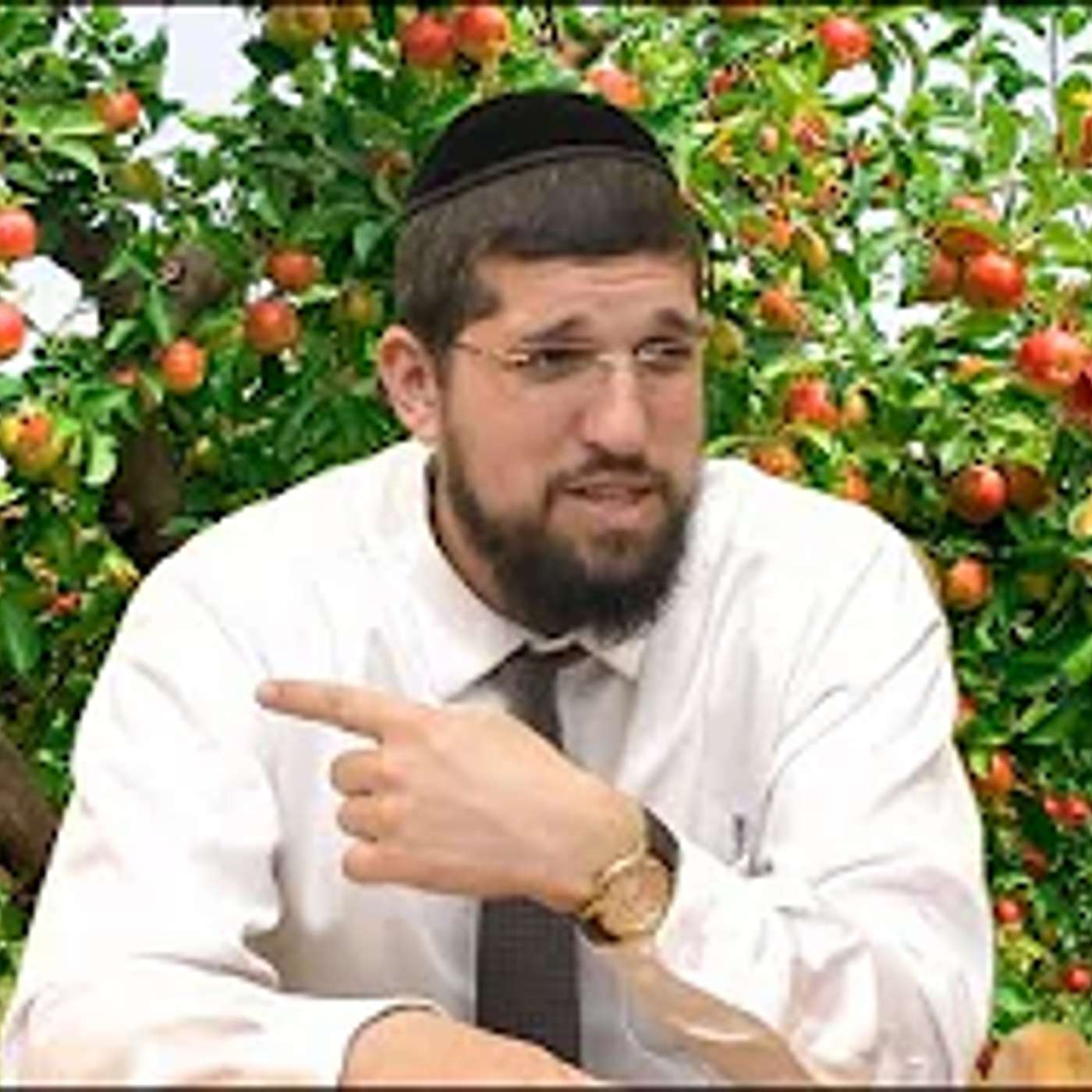 " ט"ו בשבט והמסר לחיינו " - קצר ולעניין עם הרב אליהו עמר