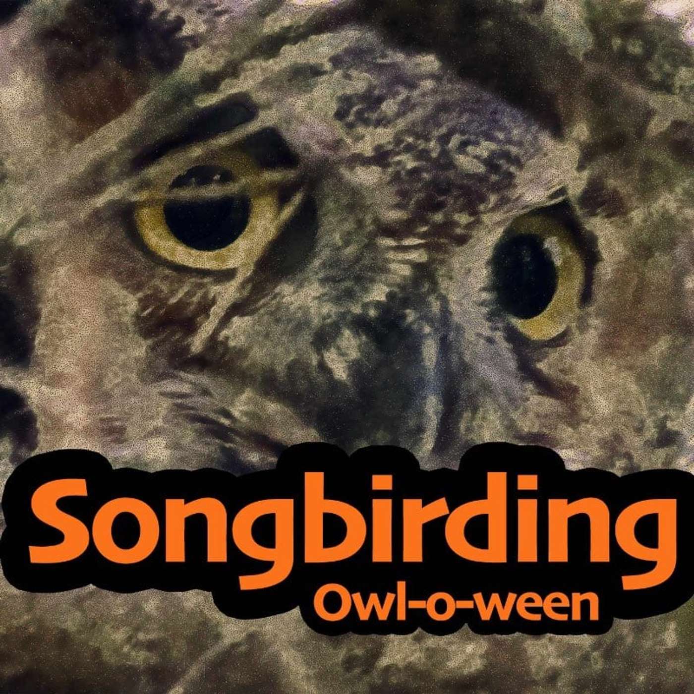 Songbirding