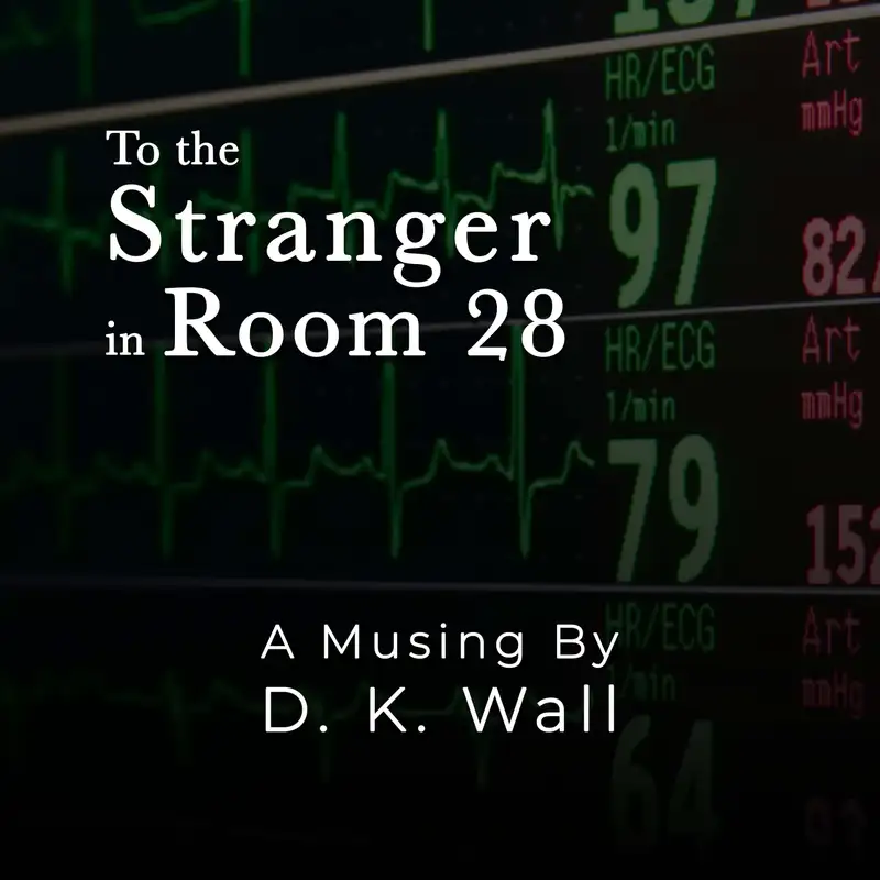 To the Stranger in Room 28