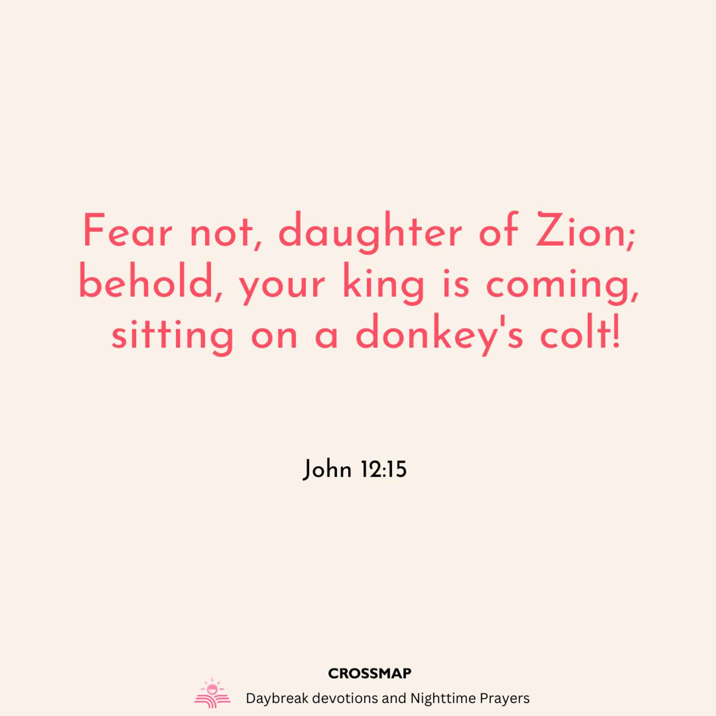 Our Humble Jesus on Palm Sunday - A Nighttime Prayer