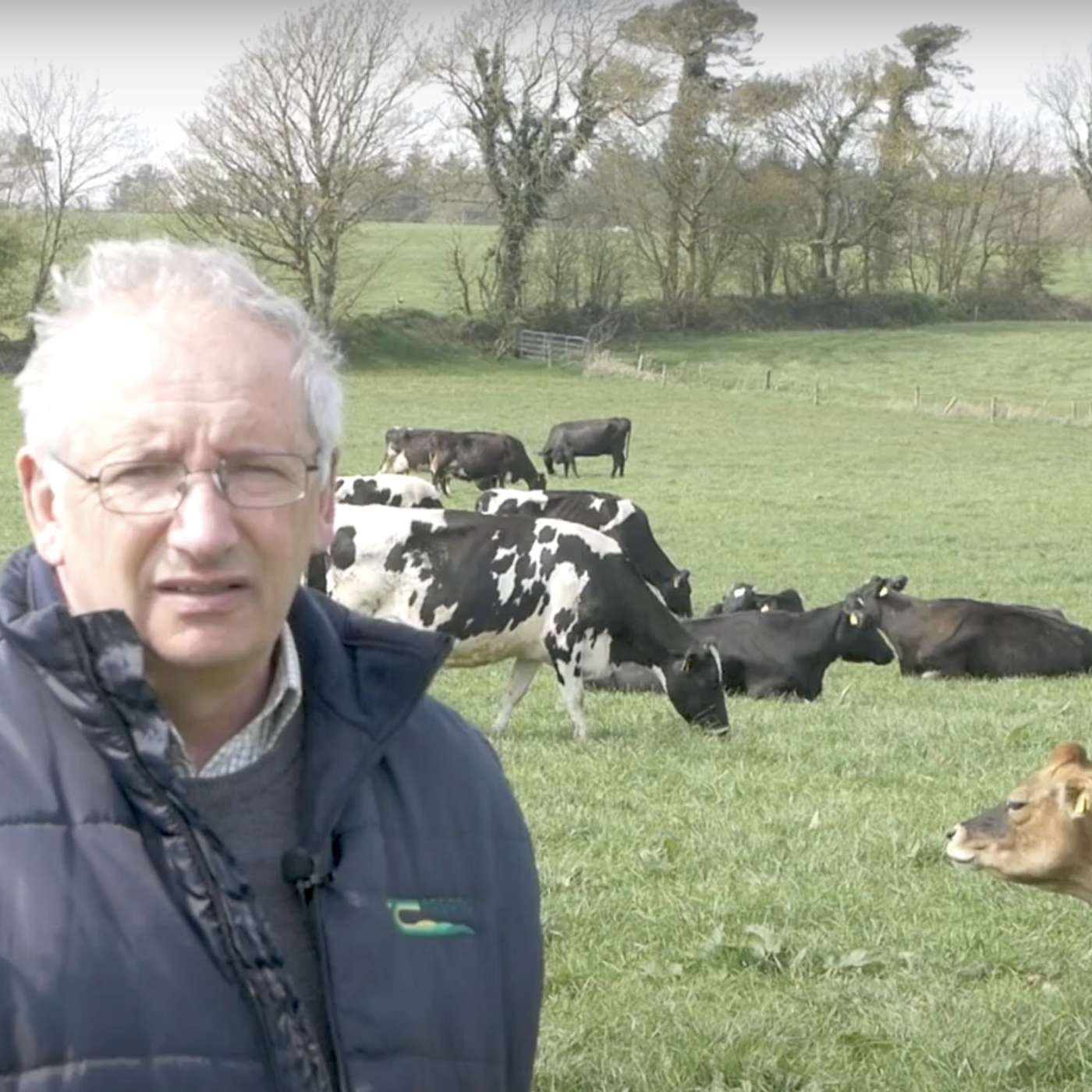 Pushing milk solids per ha from grazed grass at Shinagh Farm