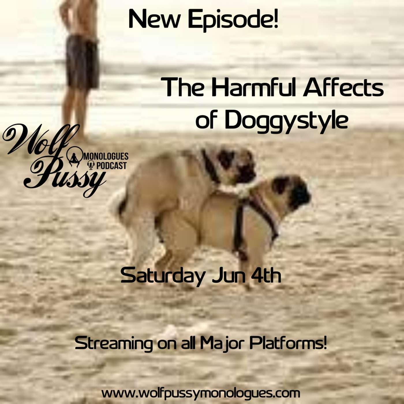 The Harmful Affects of Doggystyle episode artwork