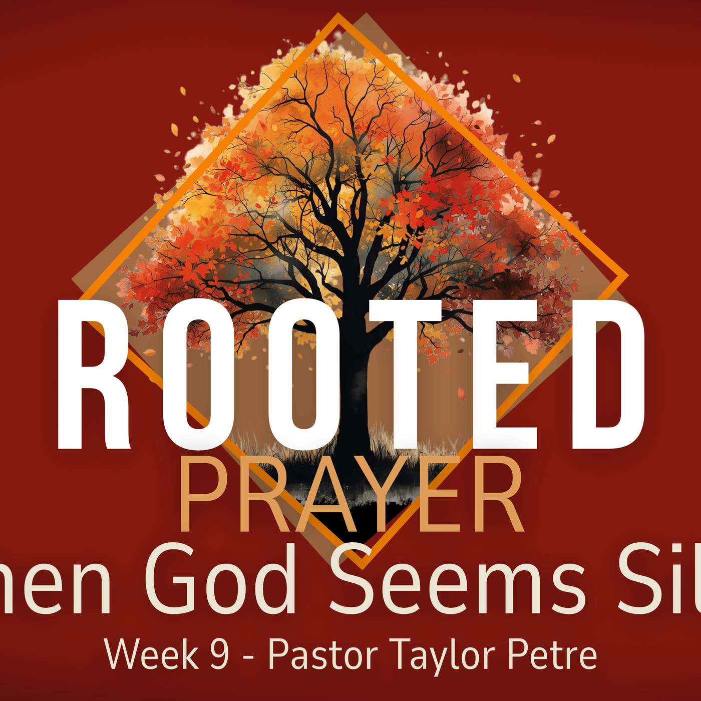 Rooted | When God Seems Silent | Week 9