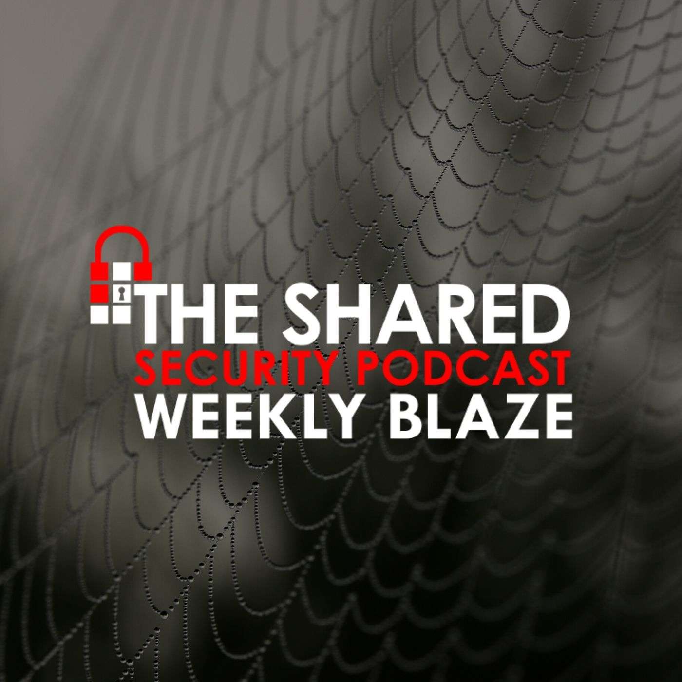 Dark Web Fraud and Cybercrime with Emily Wilson episode artwork