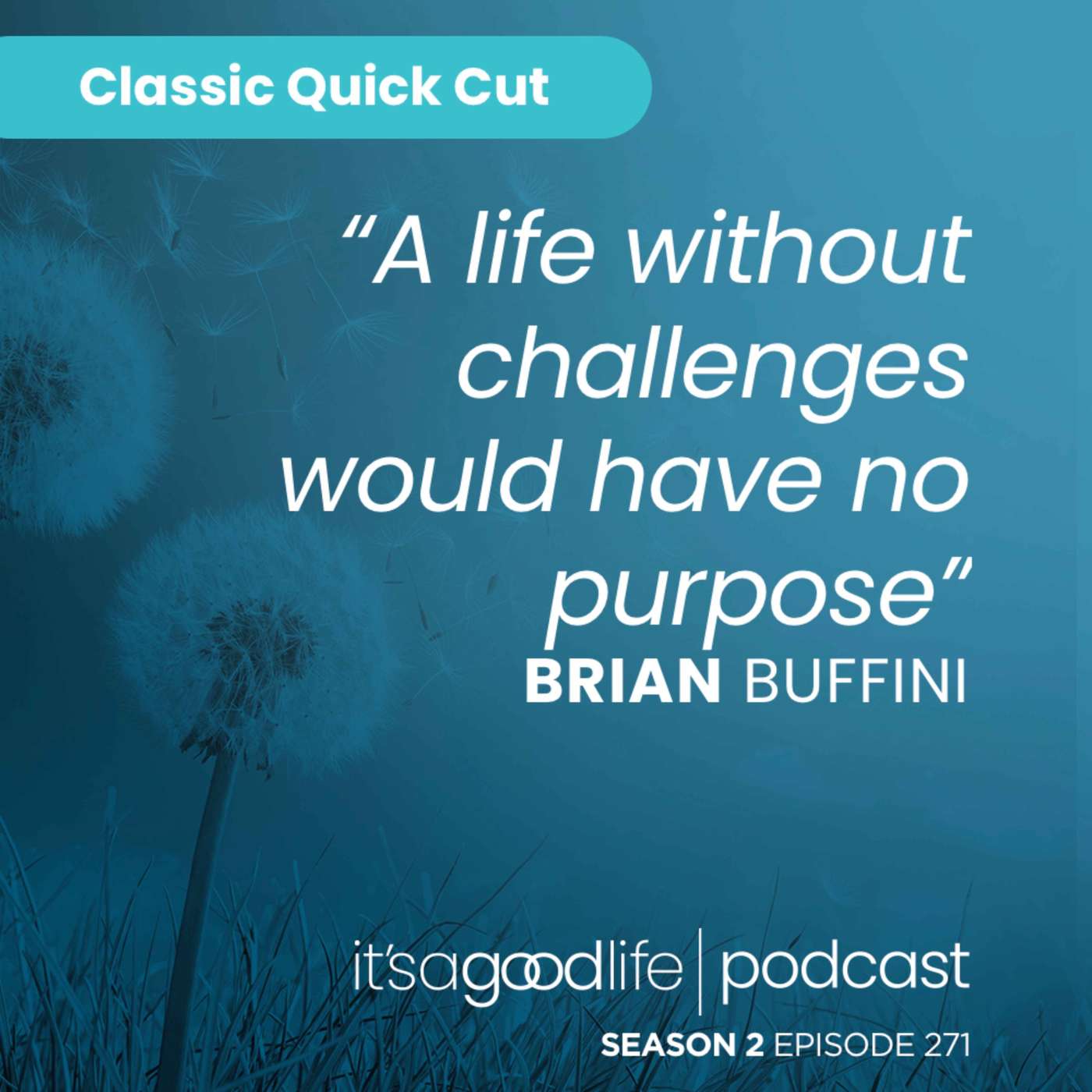 Quick Cut: S2E271 The Slow Burn of Success: Cultivating Patience