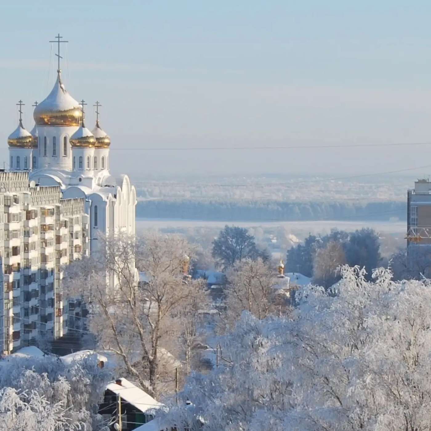 Пенсионера судят за пожелание расстрелять Путина, Медведева и главу ЦИК Панфилову