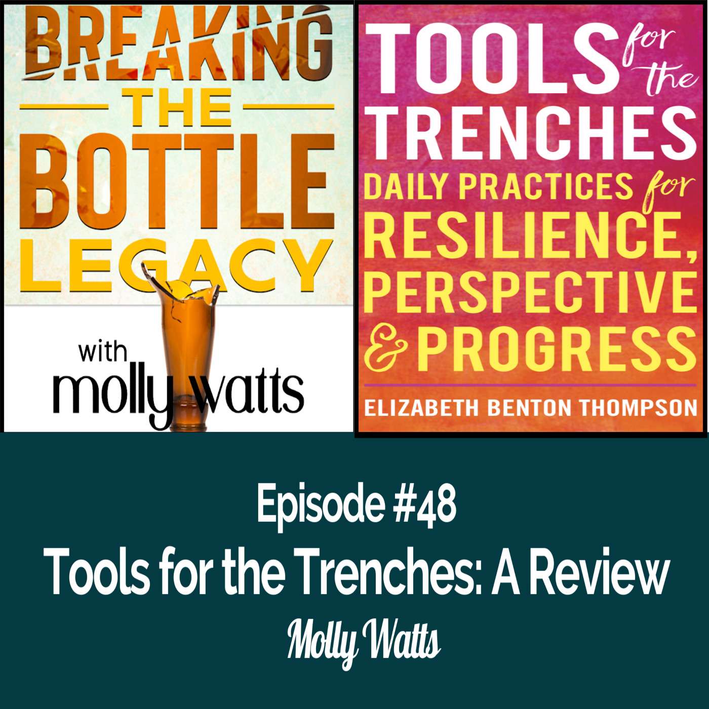 Tools for the Trenches by Elizabeth Benton Thompson: A Review episode artwork
