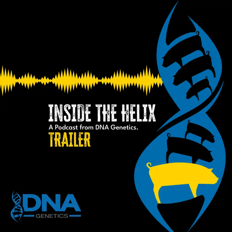 Welcome to "Inside the Helix!"