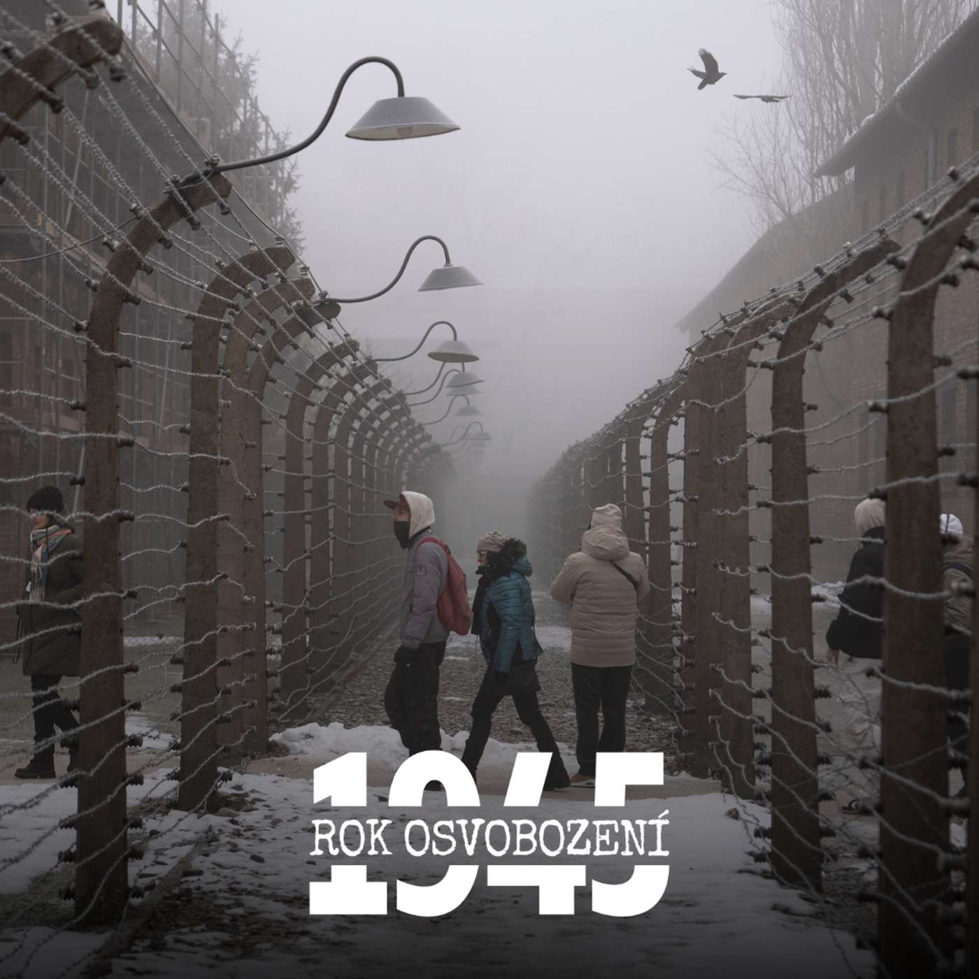 Režim vězňů v Osvětimi: Budíček ve čtyři, k obědu shnilá zelenina Režim vězňů v Osvětimi: Budíček ve čtyři, k obědu shnilá zelenina