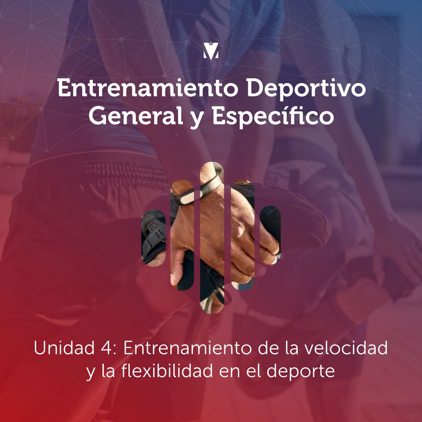 4 - ENTRENAMIENTO DEPORTIVO GENERAL Y ESPECÍFICO: Unidad 4 - Entrenamiento de la velocidad y la flexibilidad en el deporte episode artwork