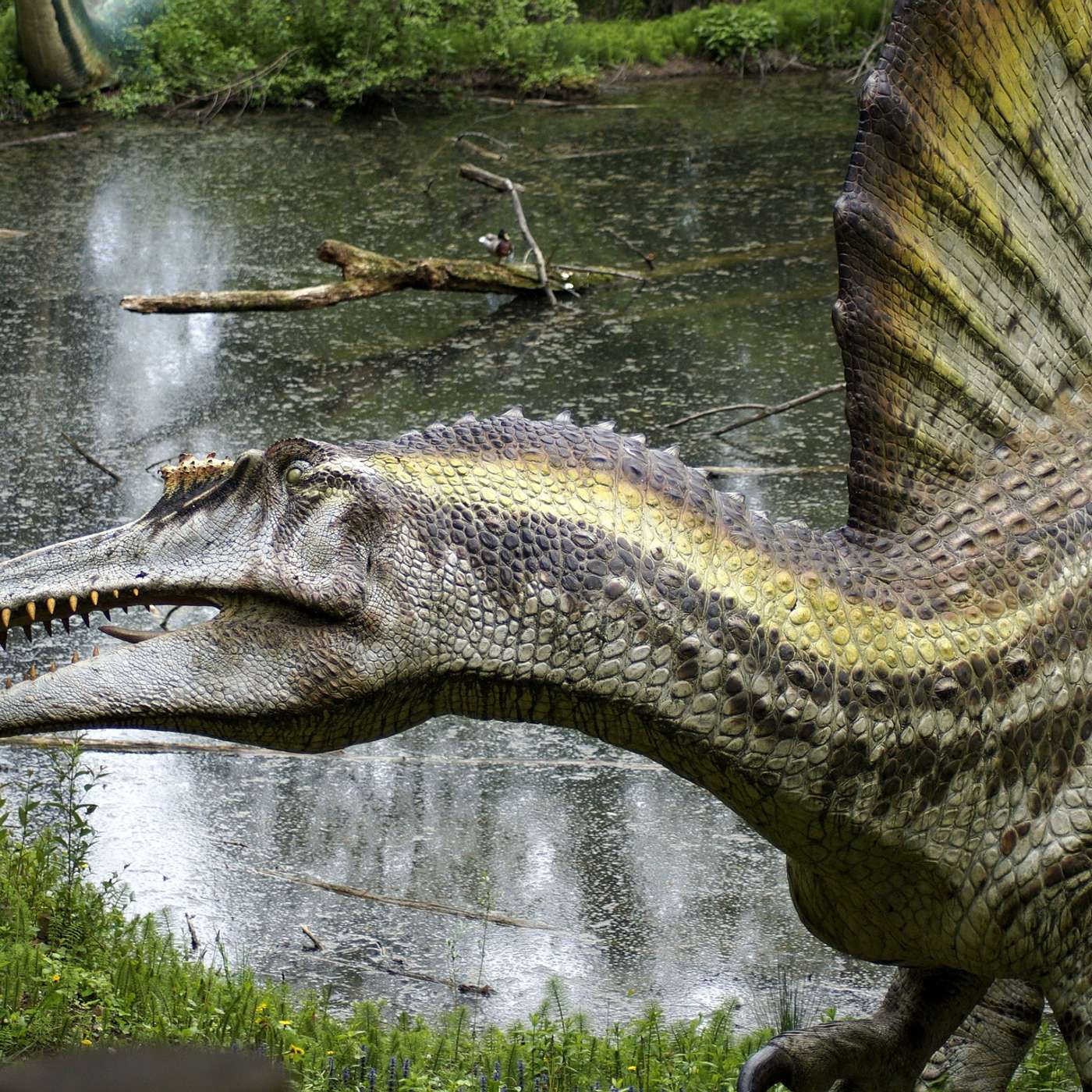 Spinosaurus Adventure