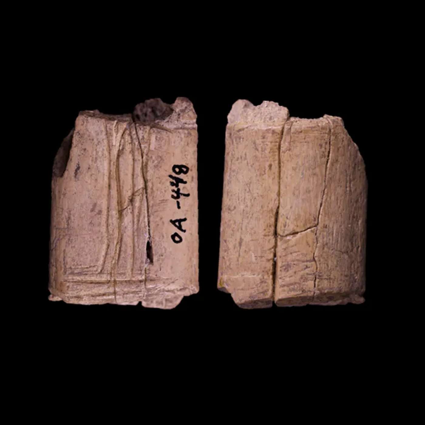 Fusion Diagnostics Upgrade Under DOE, Ancient Dice Predate Old World, Eco Method Recycles Acrylics Purity, Annovis Secures Buntanetap Patent, and more... Fusion Diagnostics Upgrade Under DOE, Ancient Dice Predate Old World, Eco Method Recycles Acrylics Purity, Annovis Secures Buntanetap Patent, and more...