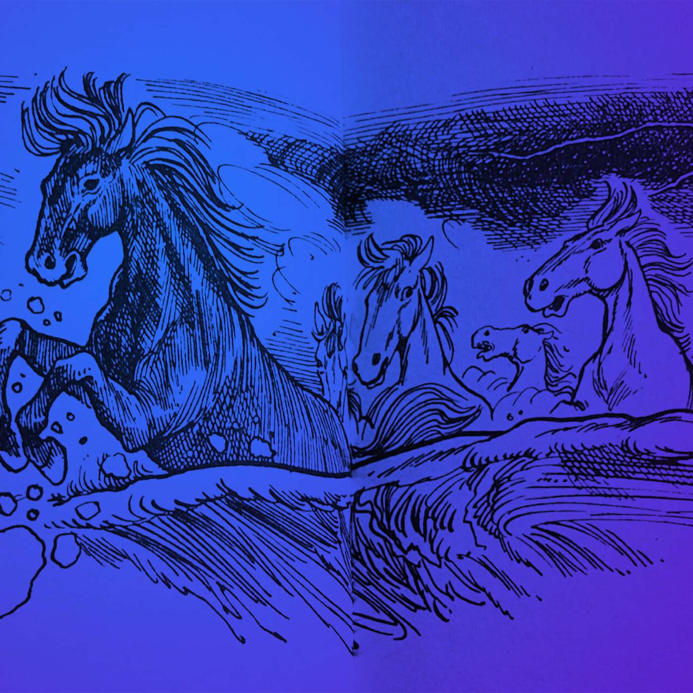 Ep. 253. You Are a Shark: Week 3 Alpha Horse Homebuddy