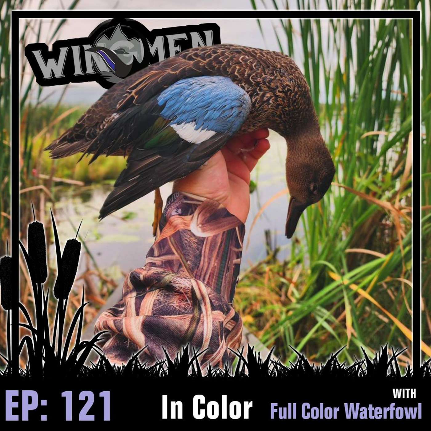 Wingmen EP 121: In Color w/Full Color Waterfowl episode artwork