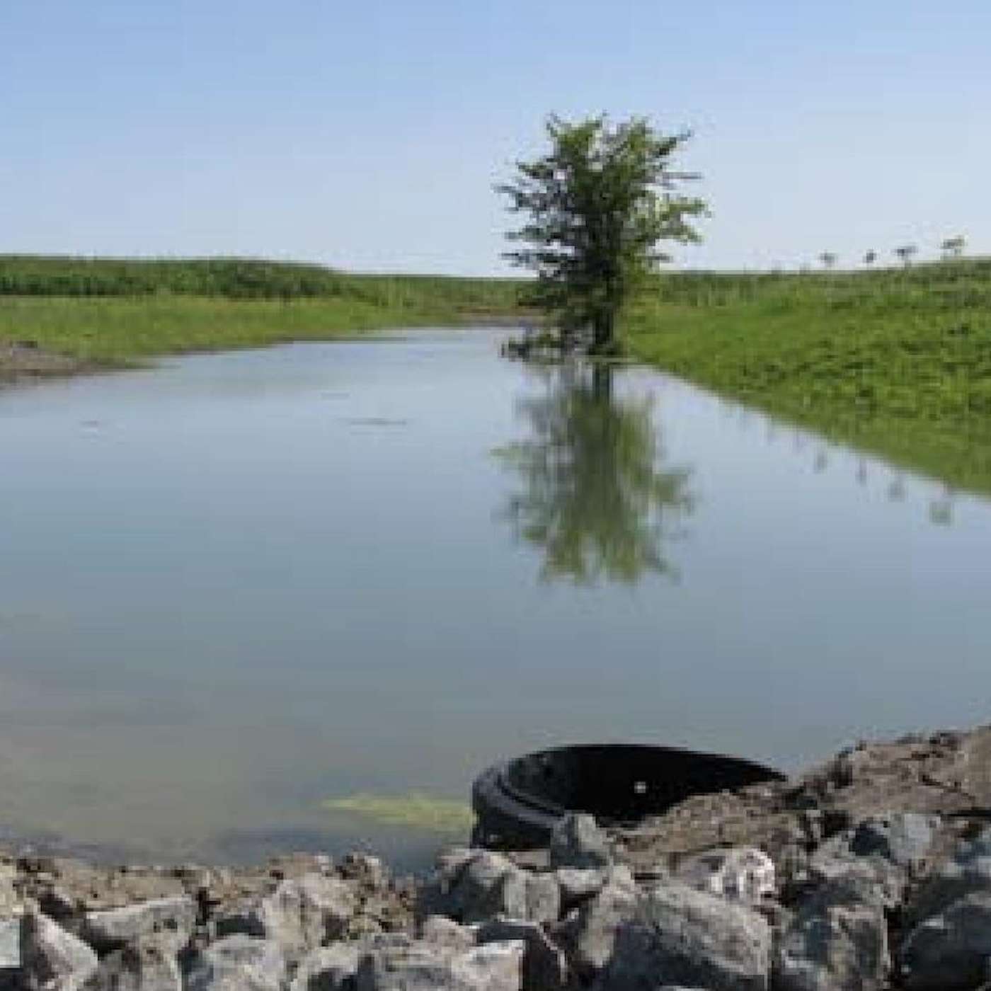 Villes et eaux usées : le rêve d’une économie circulaire de l’eau Villes et eaux usées : le rêve d’une économie circulaire de l’eau