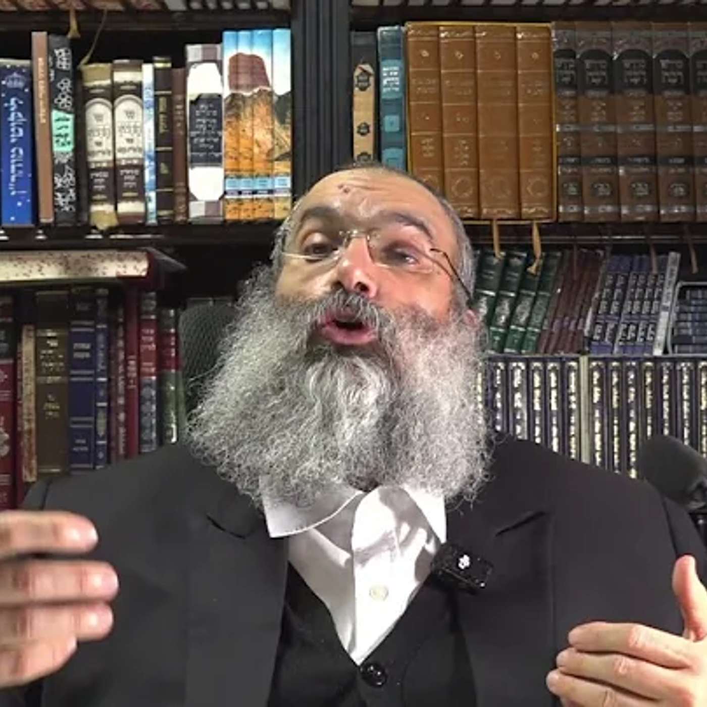 אתרוג מהודר או זיכוי הרבים – מה חשוב יותר?▪️הרב נחמנסון▪️ episode artwork