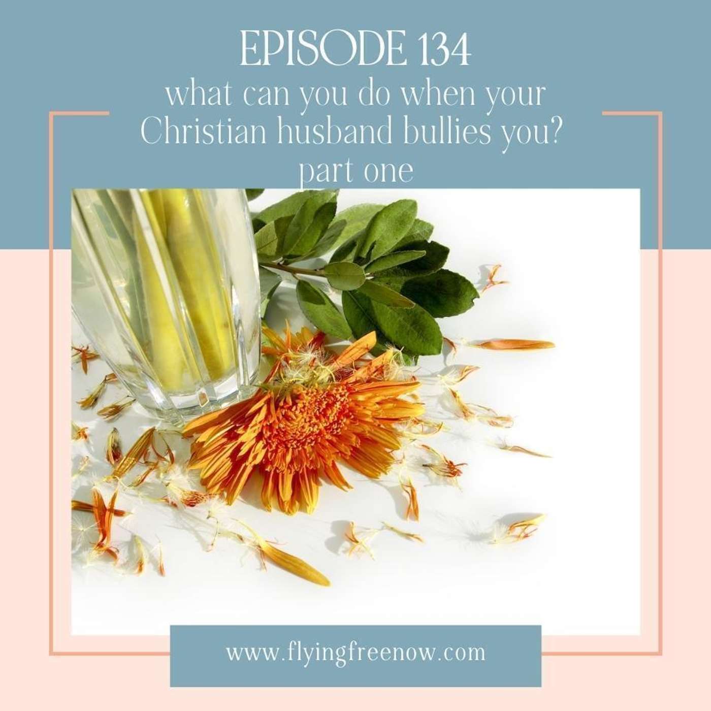 What You Can Do When Your Christian Husband Bullies You Part Two [134]