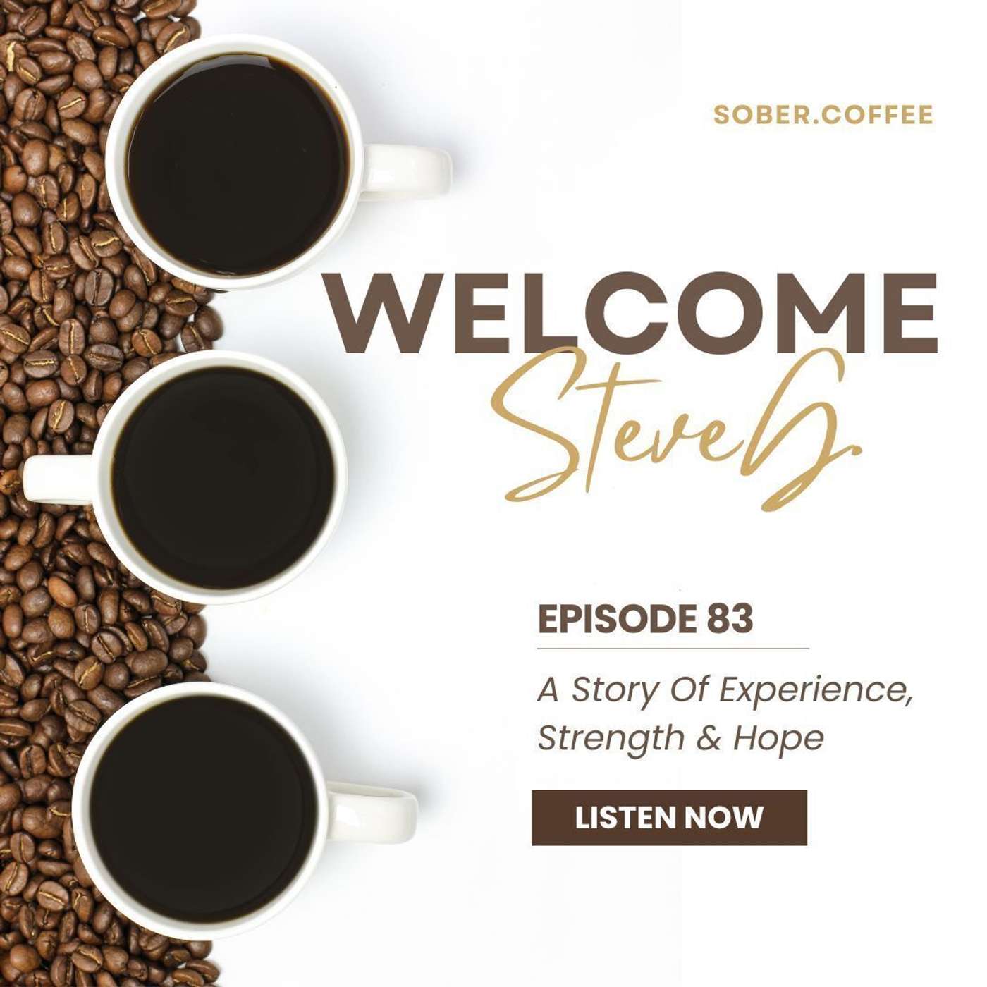 Welcome Steve G - A Story of Experience, Strength & Hope episode artwork