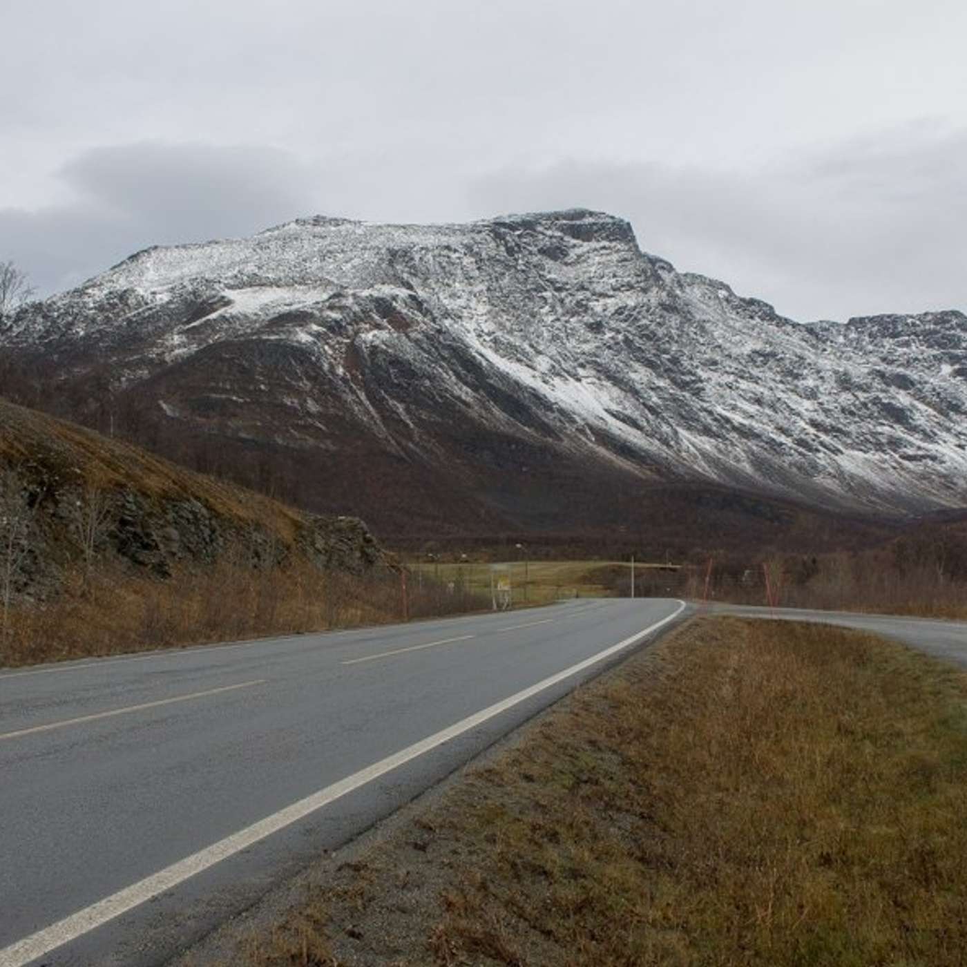 Много ли медведей на границе между Россией и Норвегией?