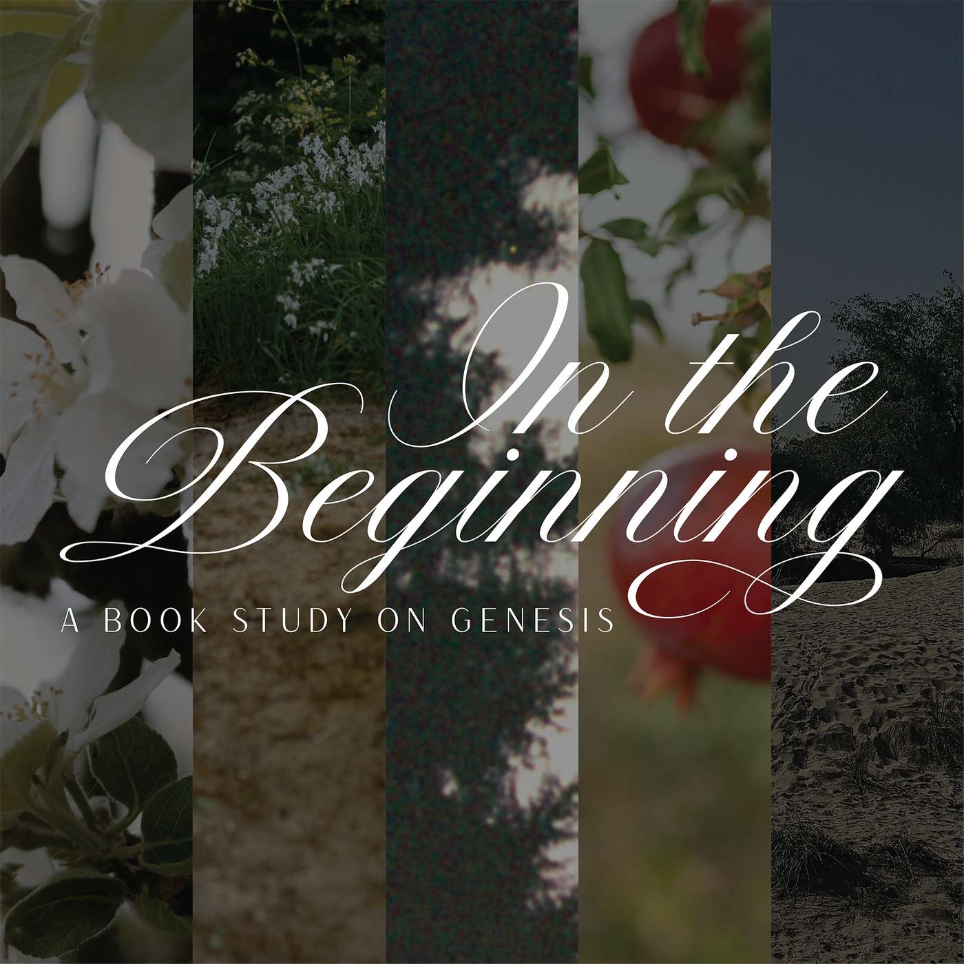 The Lows of Life (Gen. 37-39)