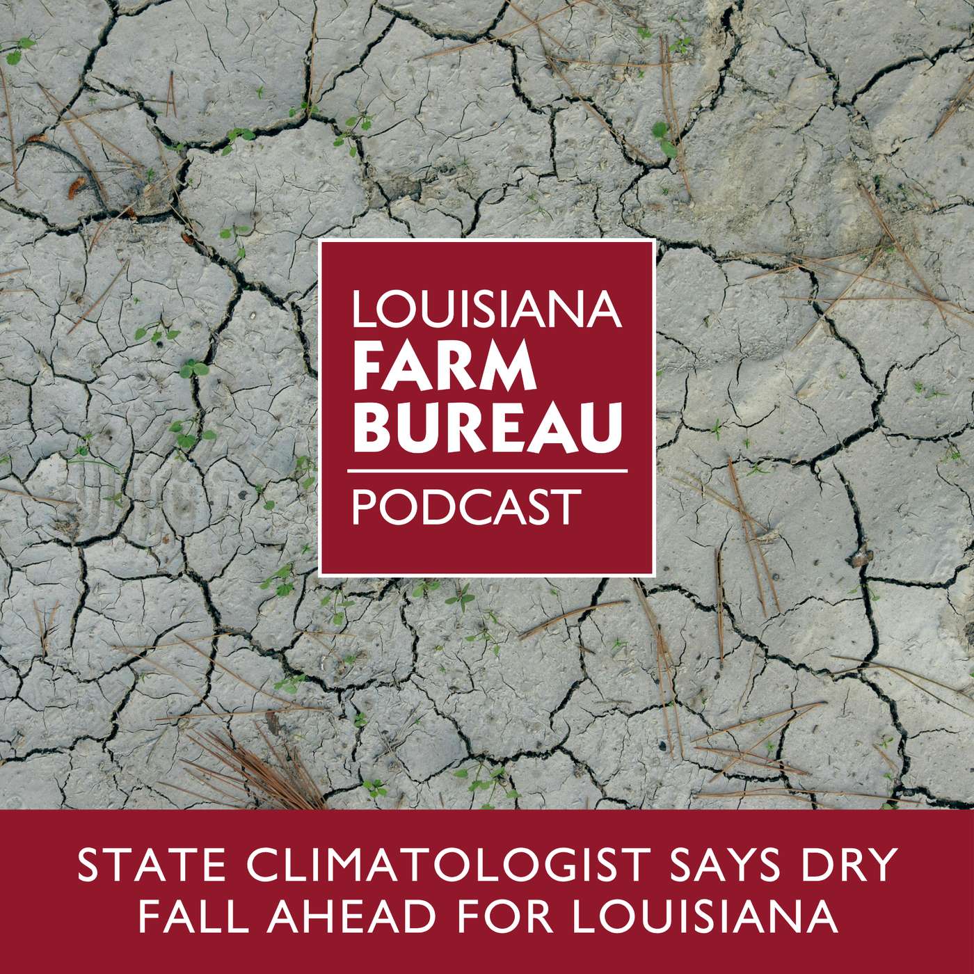 State Climatologist Says Dry Fall Ahead For Louisiana episode artwork