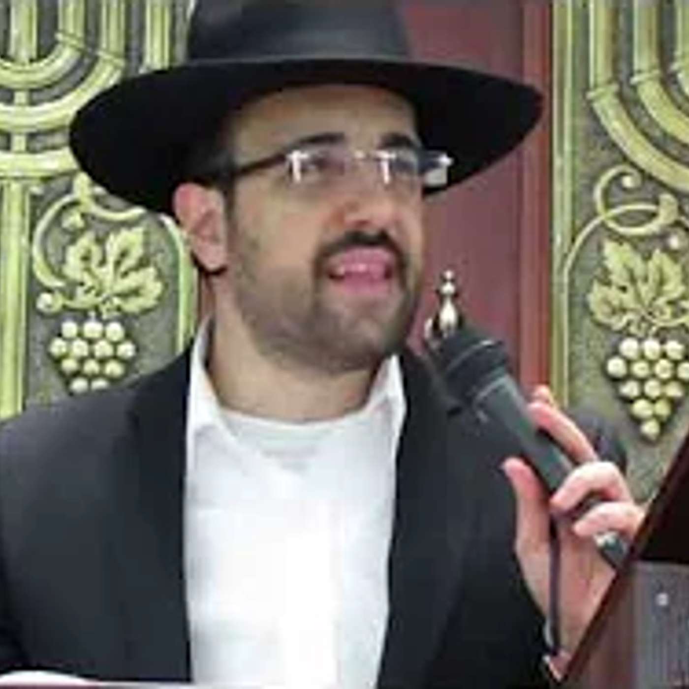 הרב מאיר אליהו | פרשת חקת | משכן יהודה - ה'תשע"ז