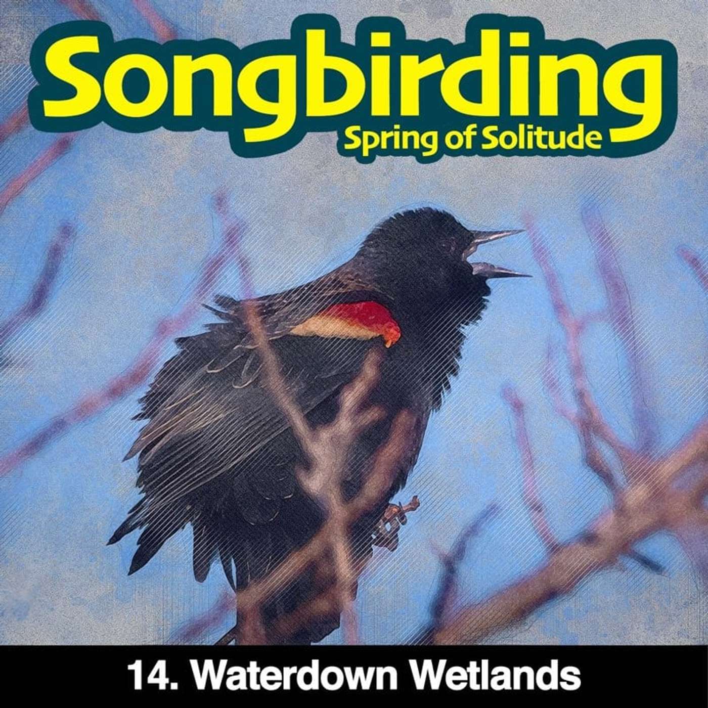 Songbirding