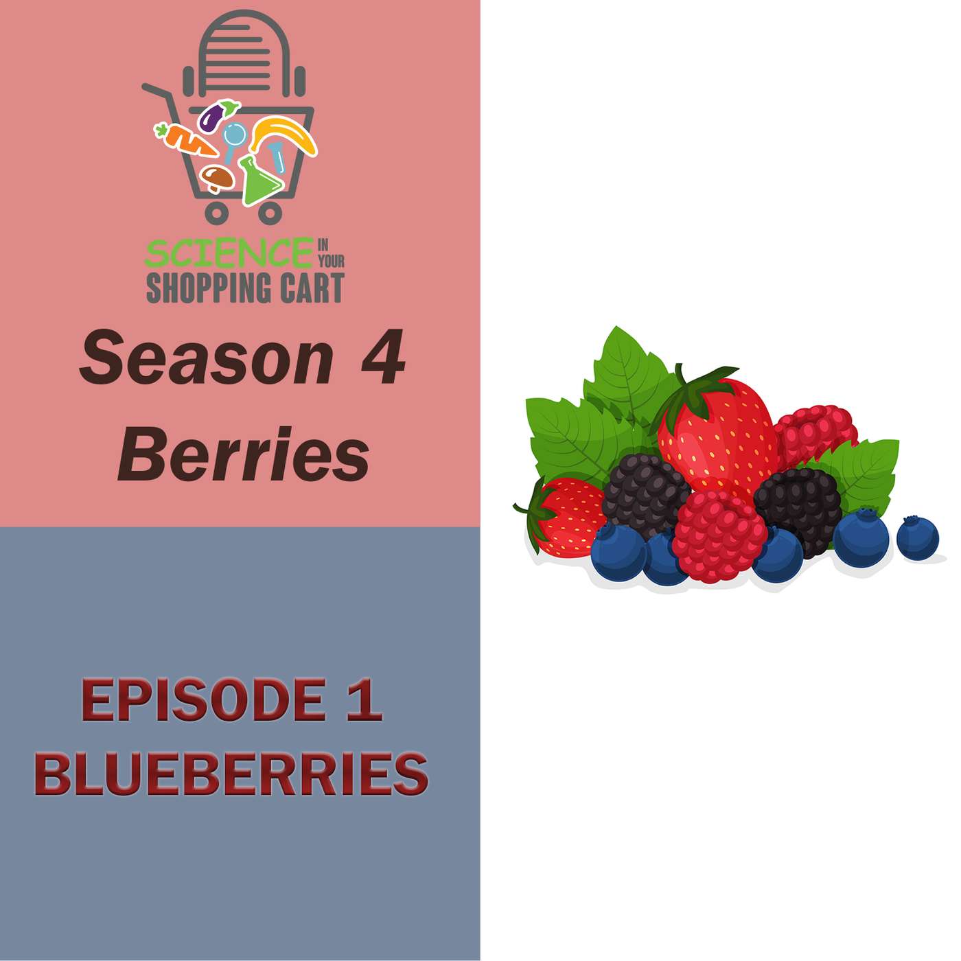 Science In Your Shopping Cart