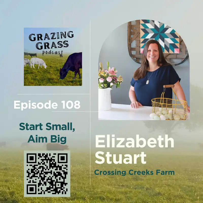 e108. Start Small, Aim Big with Elizabeth Stuart