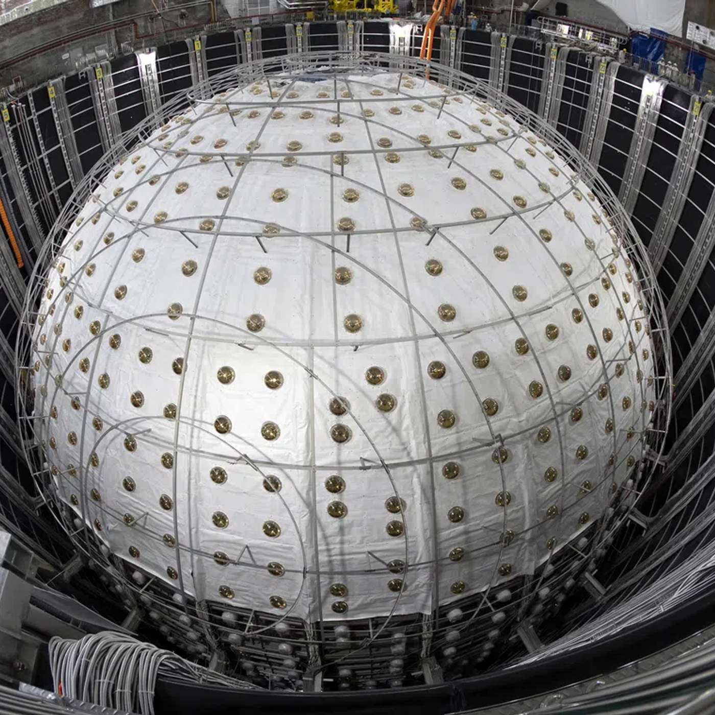 China Sets Neutrino Precision Record, Metasurface Boosts 2D Quantum Photonics, Volunteers Track Marine Life with eDNA, Medicaid Reforms Expand Methadone Access, and more...