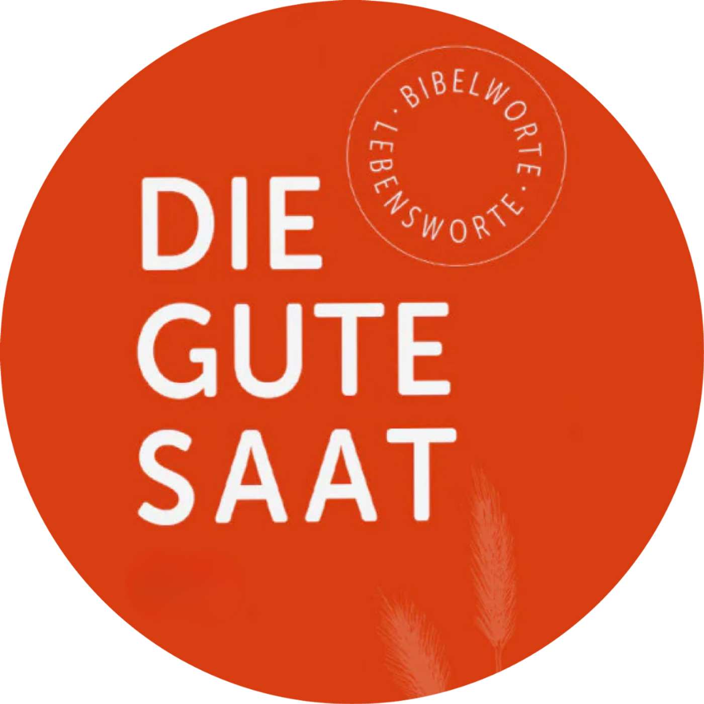 546. Die gute Saat, 5. Juli 2026: Gedanken zum Markus-Evangelium episode artwork