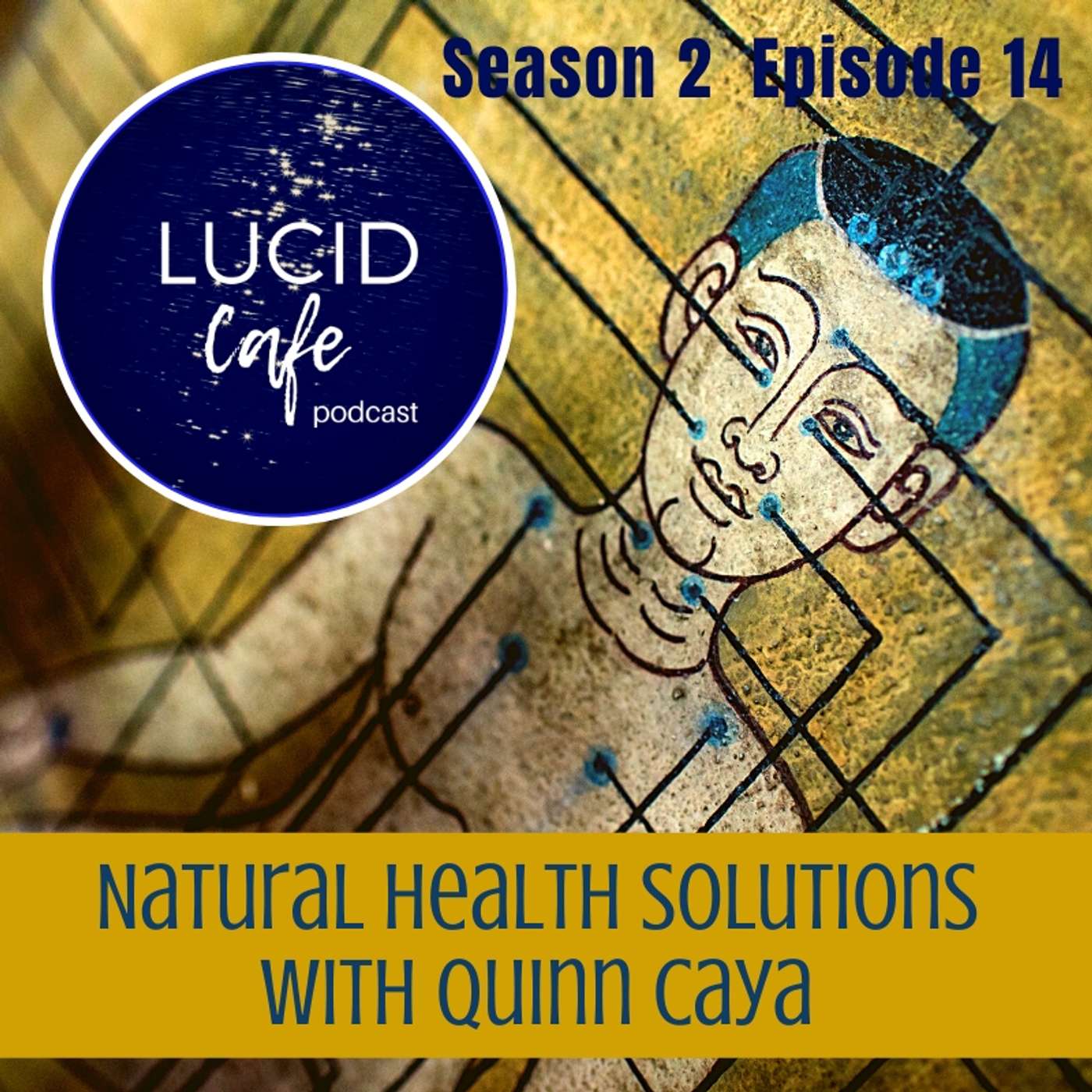Natural Health Solutions with Quinn Caya episode artwork