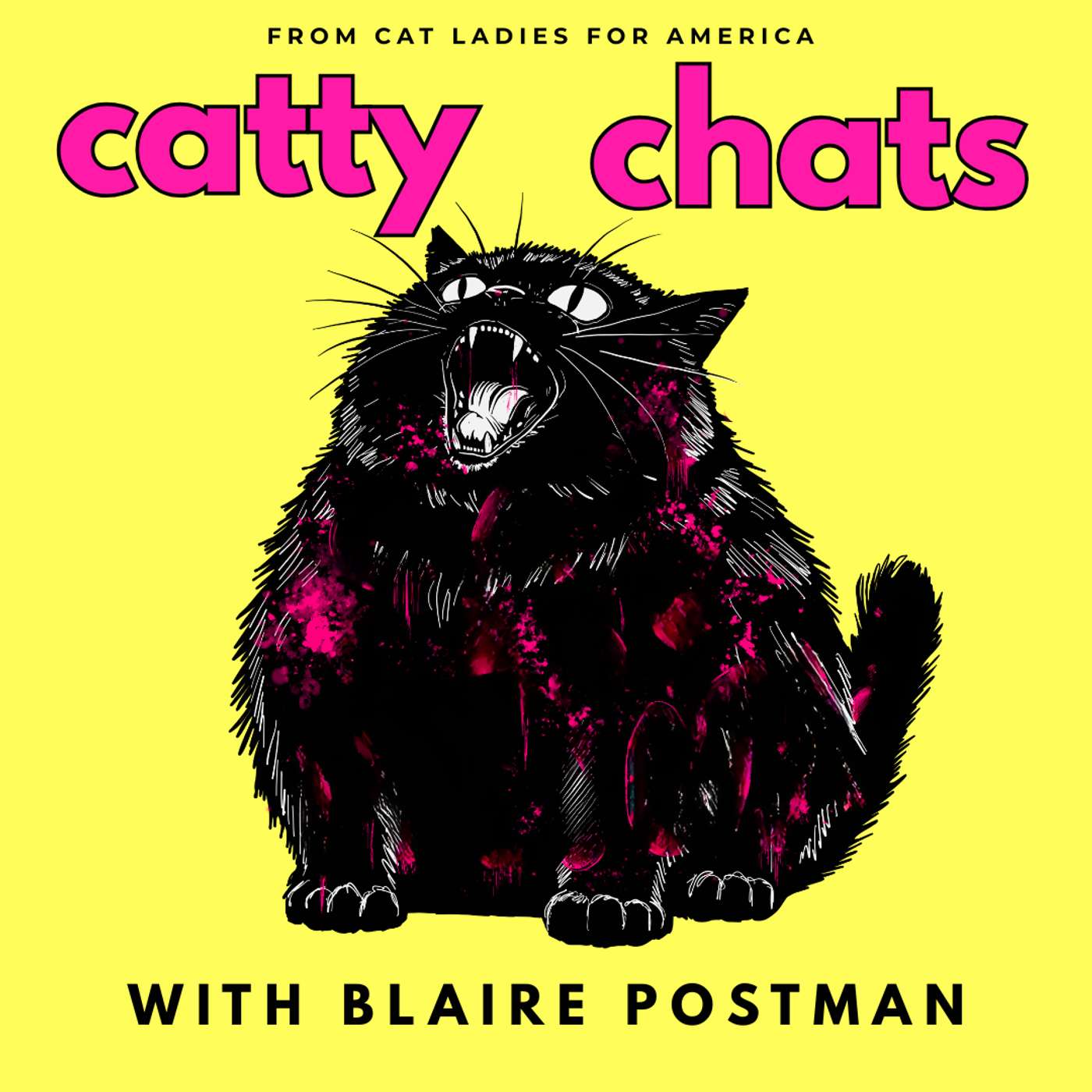 CATTY CHATS