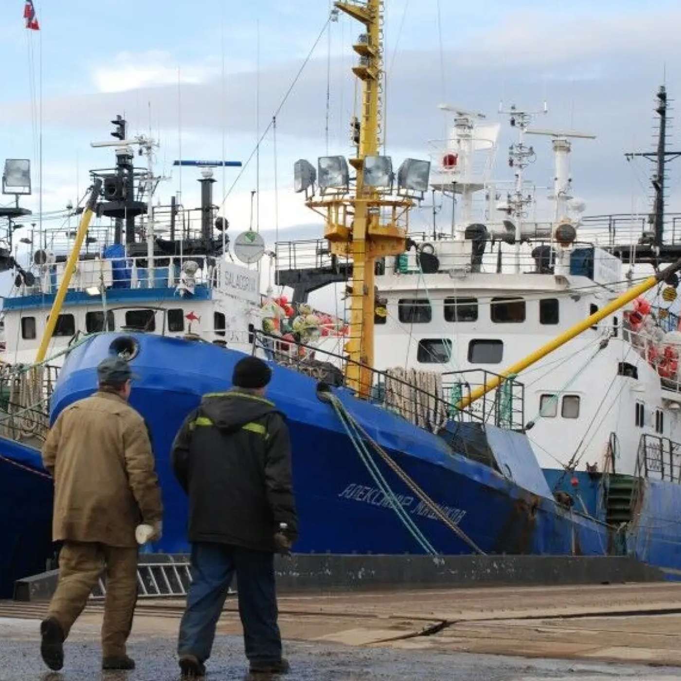 Российская треска установила рекорд по продажам в Норвегии