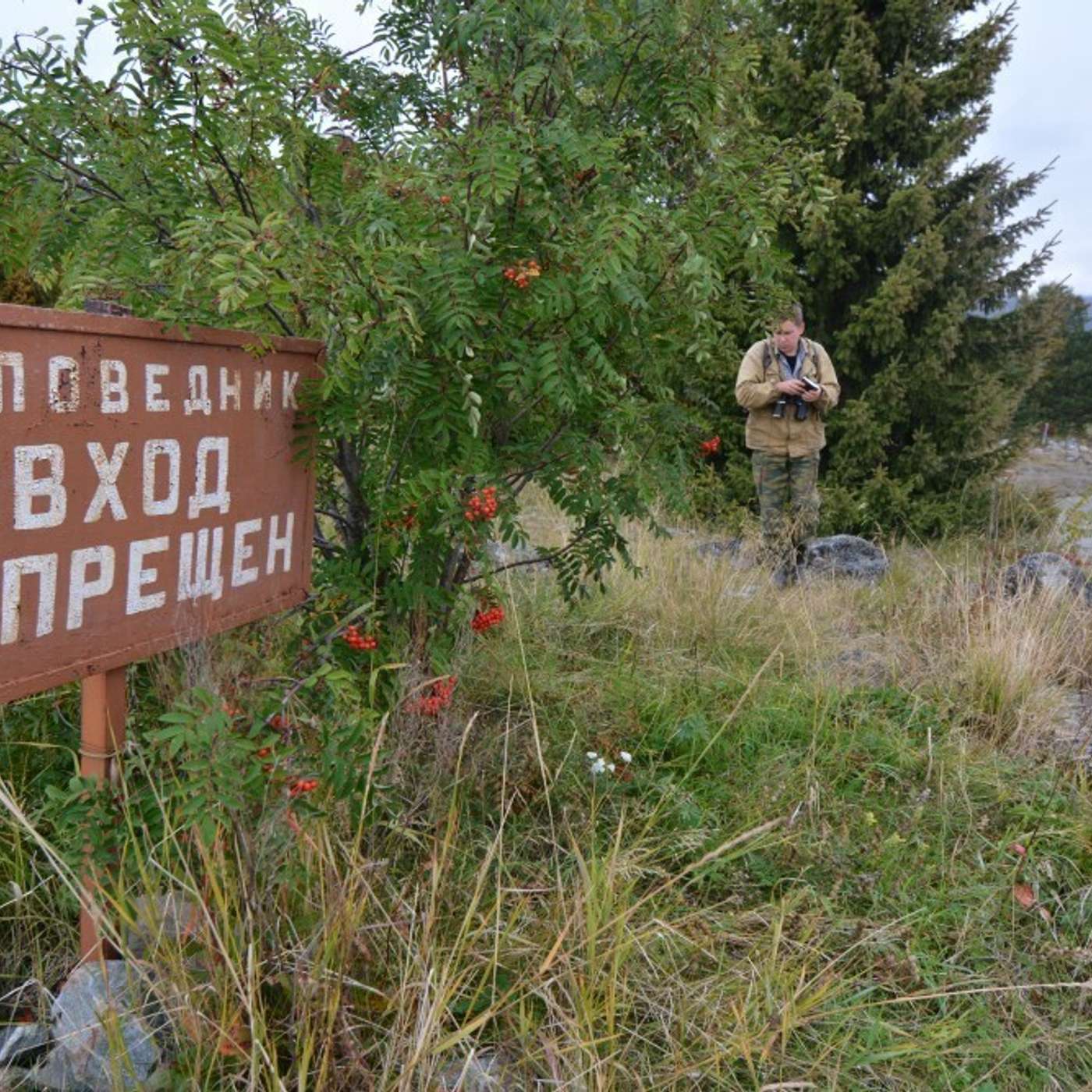 Всемирный фонд природы теперь иноагент