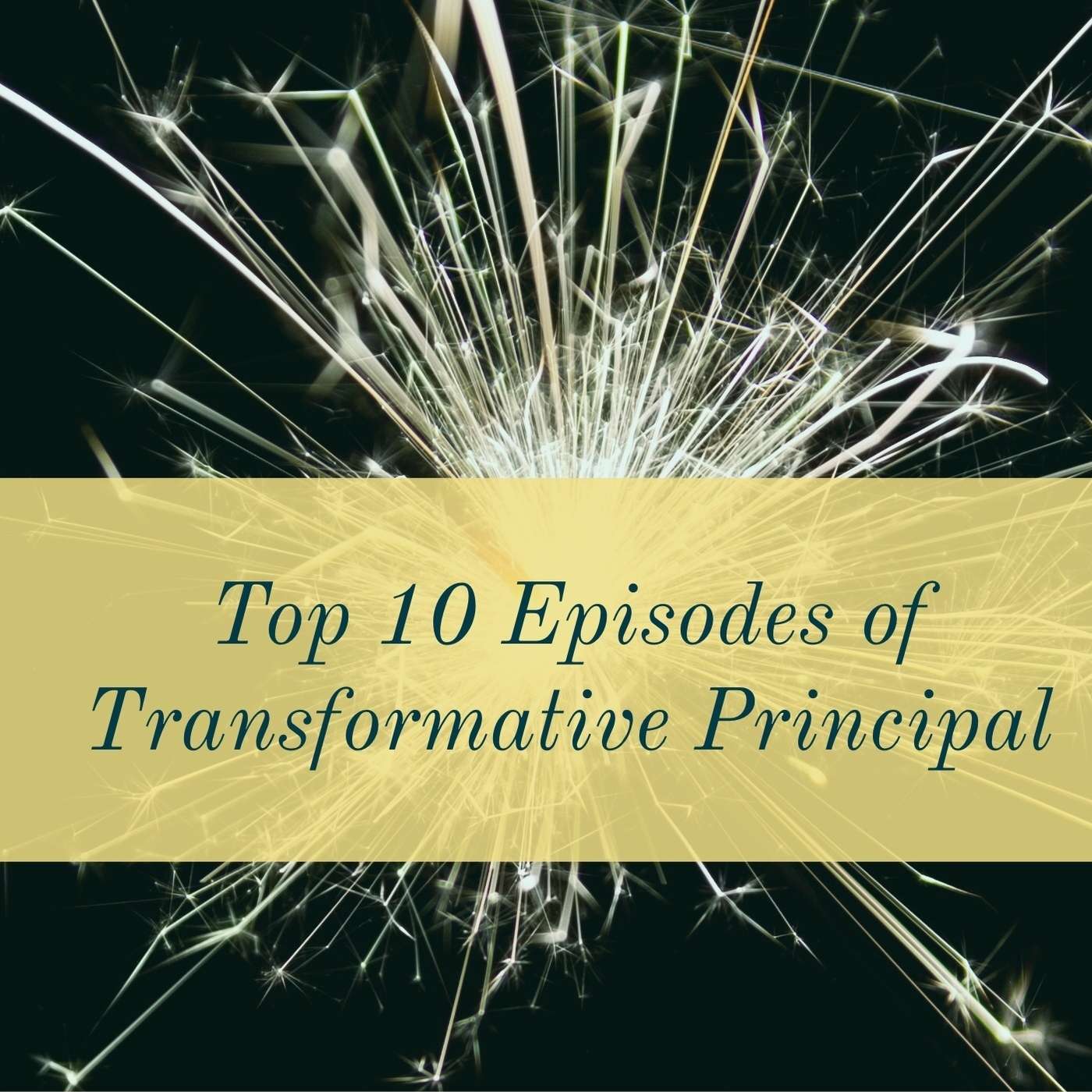 Transformative Principal
